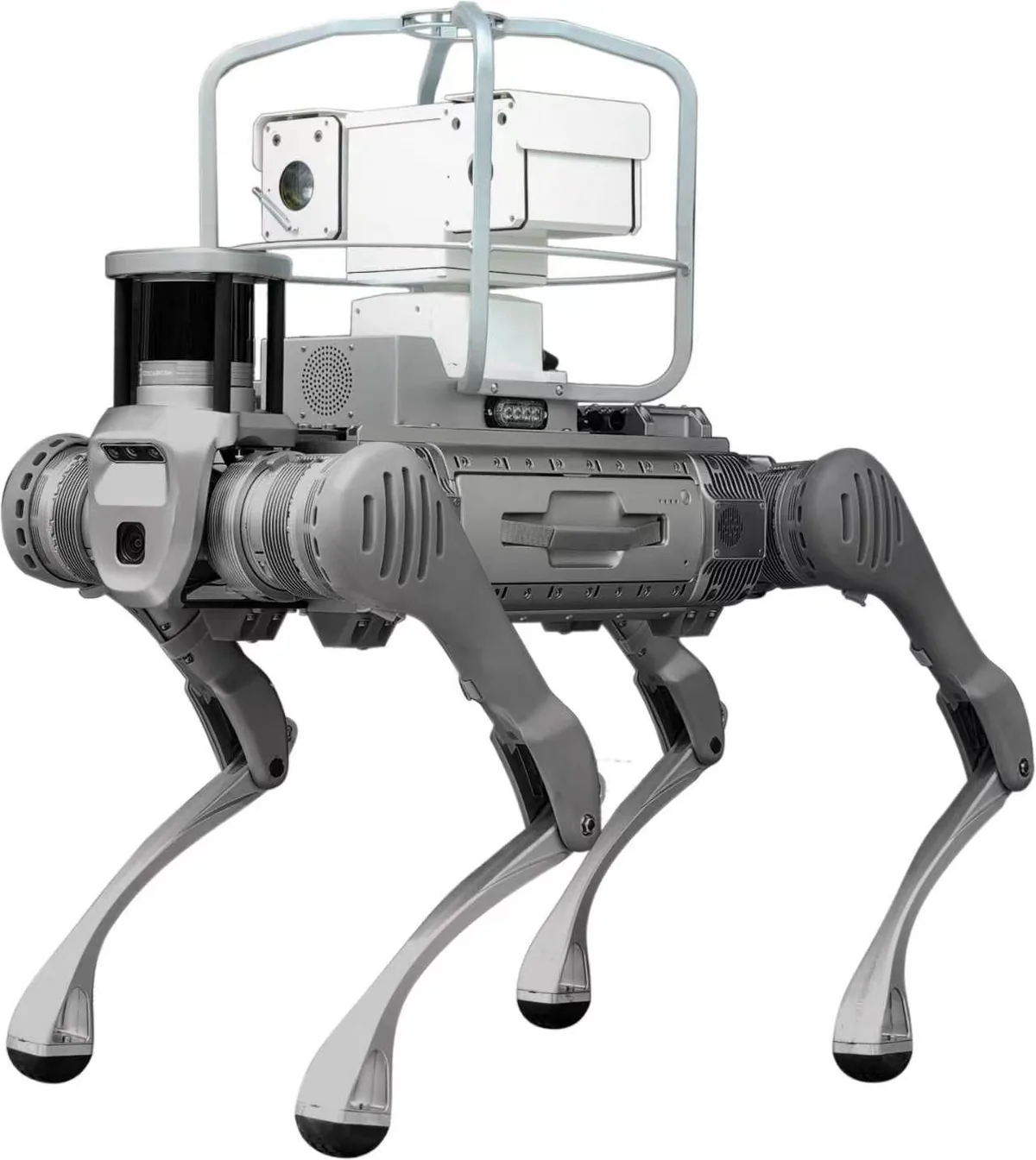 AR‑OK‑DOG3 robot product view